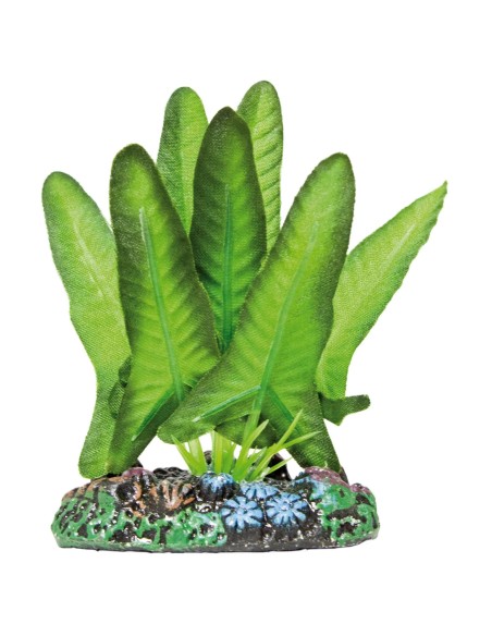 PLANTA SEDA SYNGONIUM 40CM