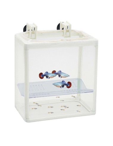 PARIDERA DE RED CON DIVISION