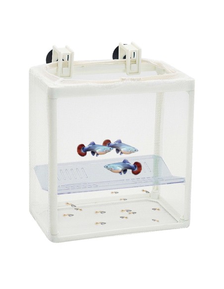 PARIDERA DE RED CON DIVISION