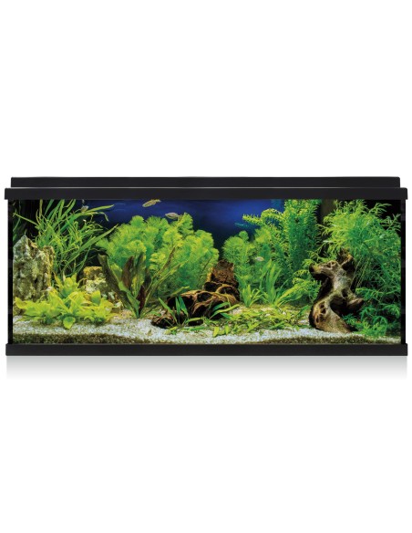 KIT INTERIOR AQUALED 100 NEGRO