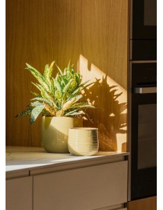 GUINEA 24X21 BLANCO 2