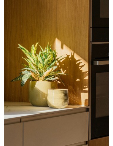 MACETA GUINEA 24X21 BLANCO