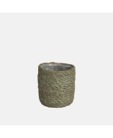 GAMO CACTUS 9X 8CM VERDE