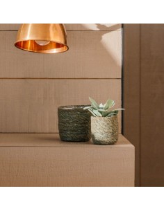 GAMO CACTUS 7X6CM VERDE 2