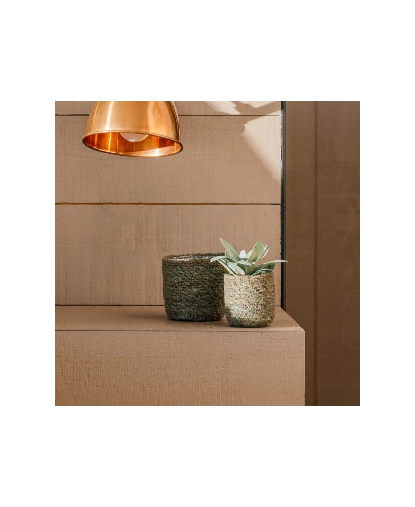 GAMO CACTUS 7X6CM VERDE