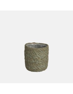 GAMO CACTUS 7X6CM VERDE