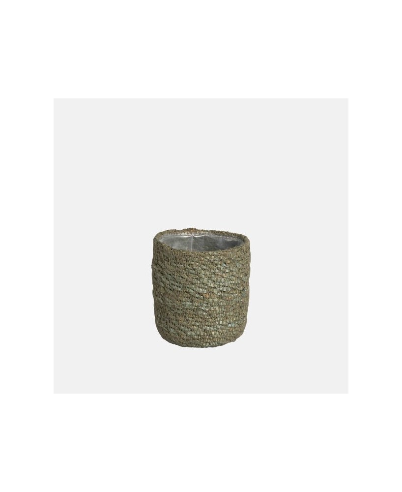 GAMO CACTUS 7X6CM VERDE