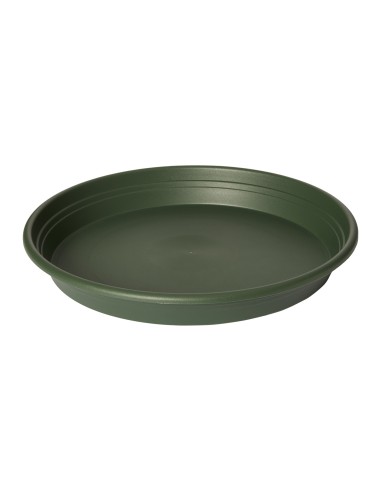 Plato Redondo Universal 22 cm Verde  Base para Macetas Medianas, Protección y Estilo

