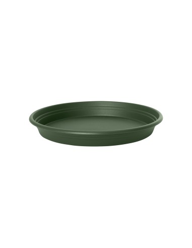Plato Redondo Universal 22 cm Verde  Base para Macetas Medianas, Protección y Estilo

