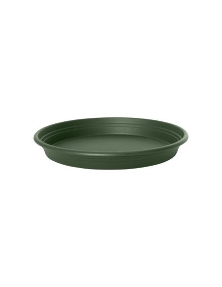 Plato Redondo Universal 22 cm Verde  Base para Macetas Medianas, Protección y Estilo

