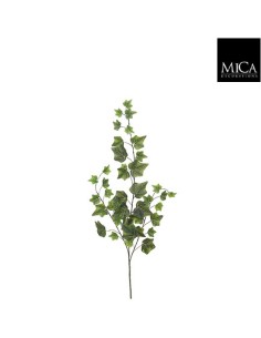 HIEDRA VERDE 63X15X4CM