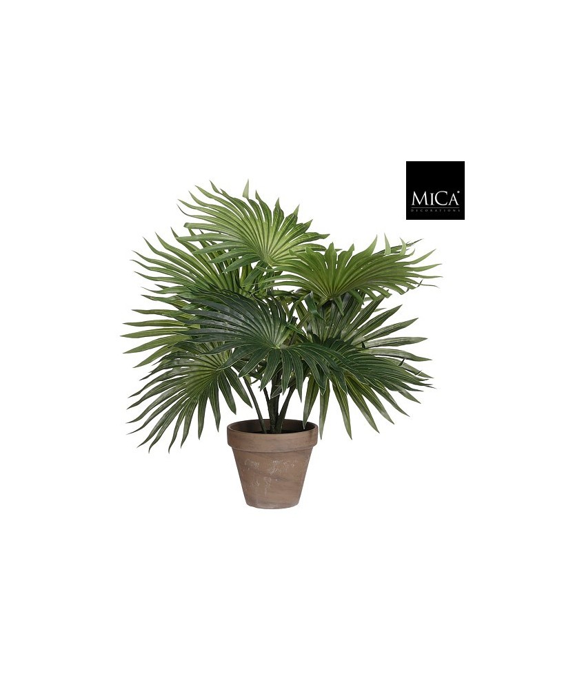 PALMERA VERDE EN MACETA D11.5 H40XD35CM