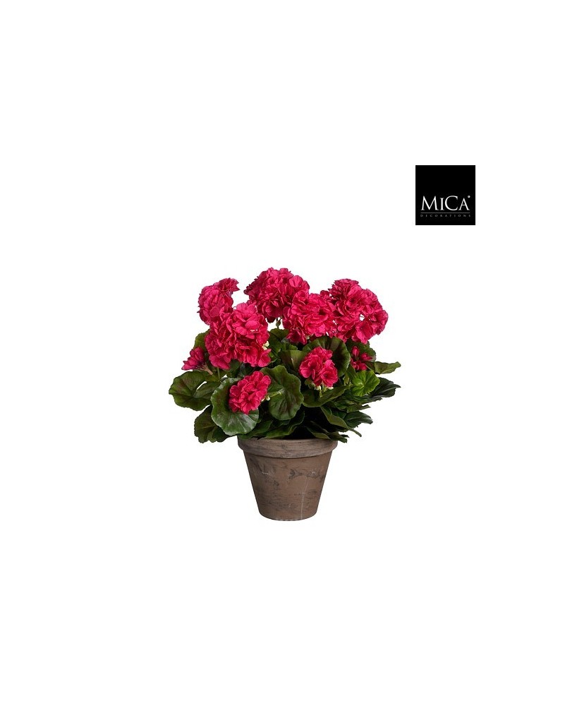 GERANIO ROSA EN MACETA D15.5 K41XD27CM