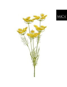 DAUCUS CAROTA AMARILLA I81CM