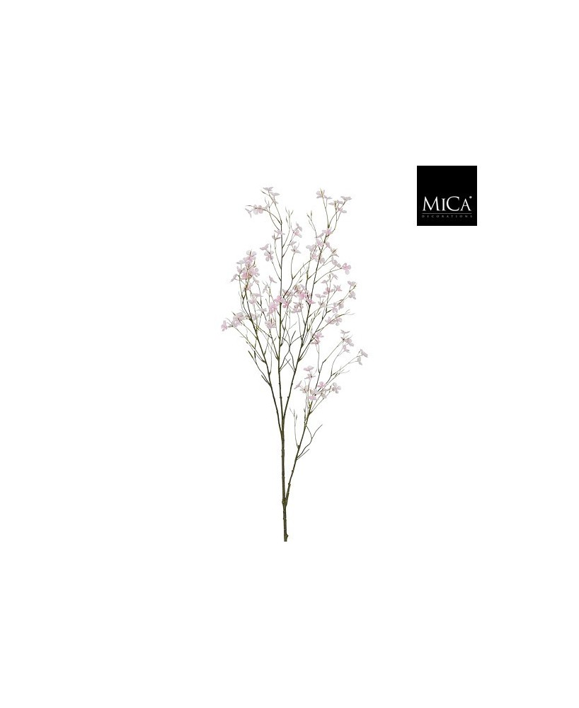 BLOSSOM RAMA ROSA I131CM