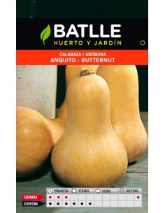 SEMILLA CALABAZA ANQUITO-BUTTER BATLLE