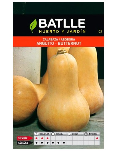 SEMILLA CALABAZA ANQUITO-BUTTER BATLLE