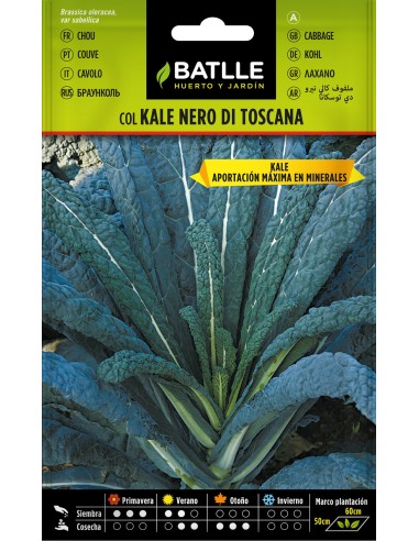 SEMILLA COL KALE NERO DI TOSCANA