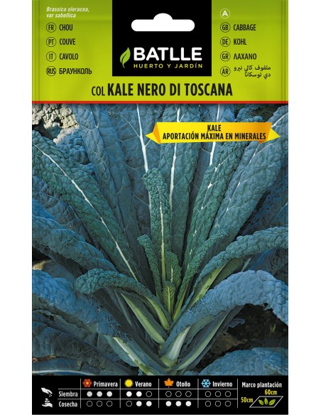 SEMILLA COL KALE NERO DI TOSCANA