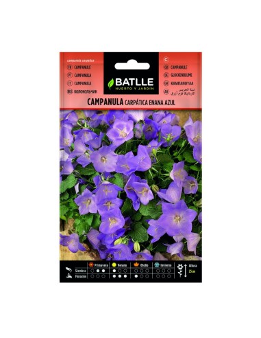 SEMILLA CAMPANULA CARPATICA AZUL BATTLE