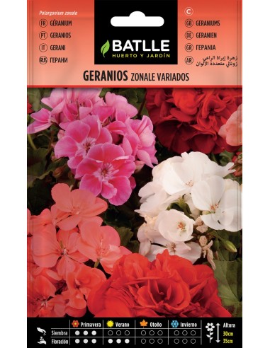 SEMILLA GERANIOS ZONALE