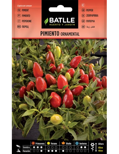 SEMILLA PIMIENTO ORMAMENTAL BATLLE
