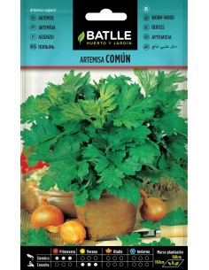SEMILLA ARTEMISA COMUN