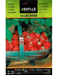 SEMILLA FRESAS DE BOSQUE BATLLE