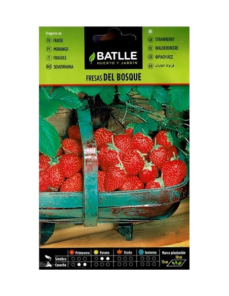 SEMILLA FRESAS DE BOSQUE BATLLE