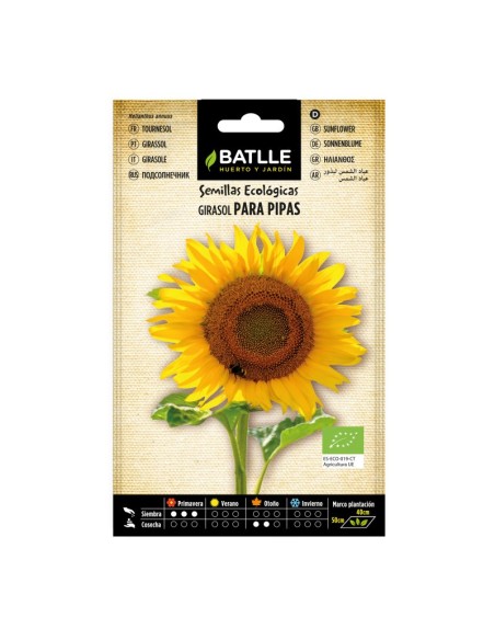 SEMILLA GIRASOL PARA PIPAS BATLLE