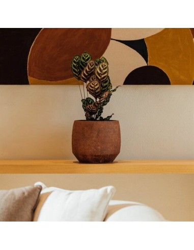 MACETA GREA 30X28CM MARRON