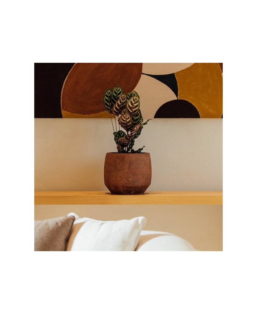 MACETA GREA 21X20CM MARRON