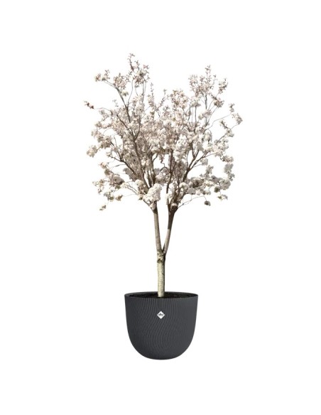 MACETA SEREH REDONDA 47CM ANTRACITA