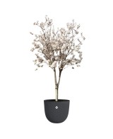 MACETA SEREH REDONDA 47CM ANTRACITA