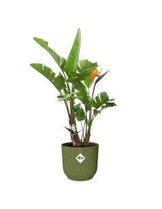 MACETA VIBES FOLD REDONDA 30CM VERDE HELECHO 2