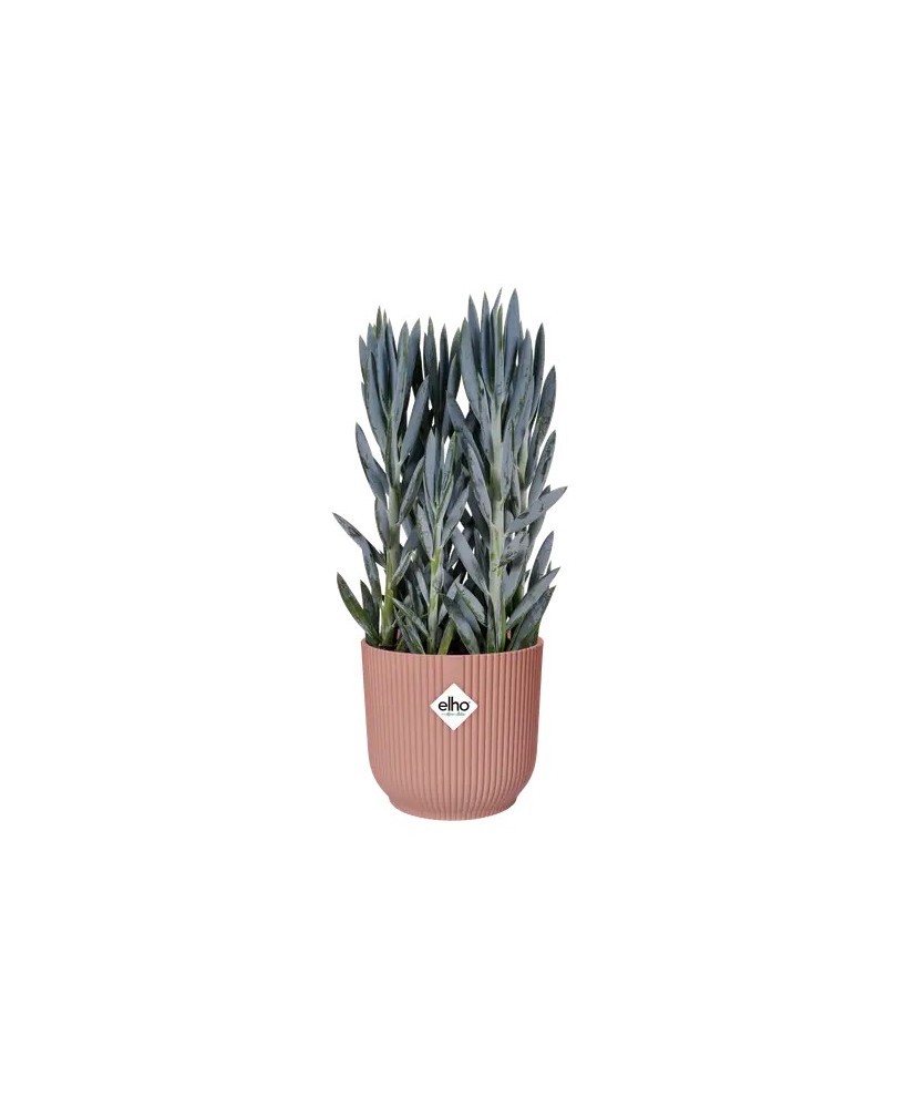 MACETA  VIBES FOLD REDONDA 25 ROSA
