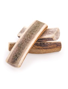 MEDIA ASTA DE CIERVO L