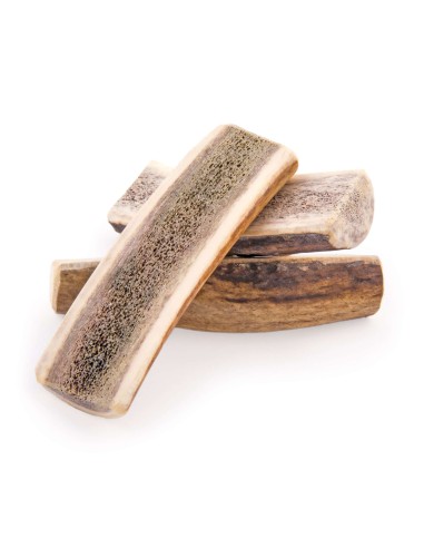 MEDIA ASTA DE CIERVO L