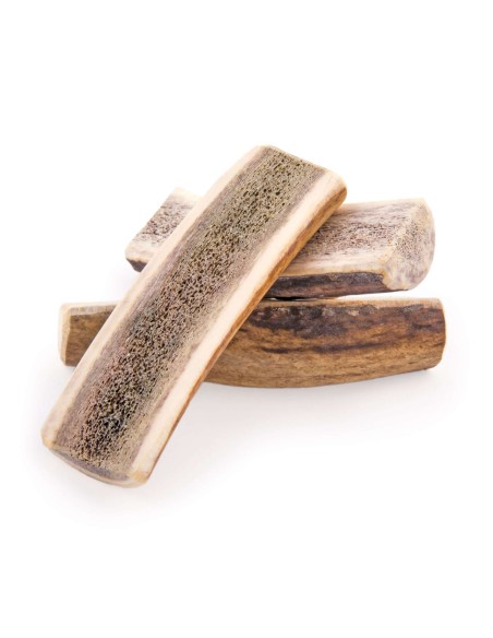 MEDIA ASTA DE CIERVO L