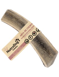 MEDIA ASTA DE CIERVO L 2