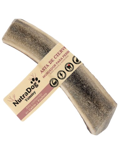 MEDIA ASTA DE CIERVO L