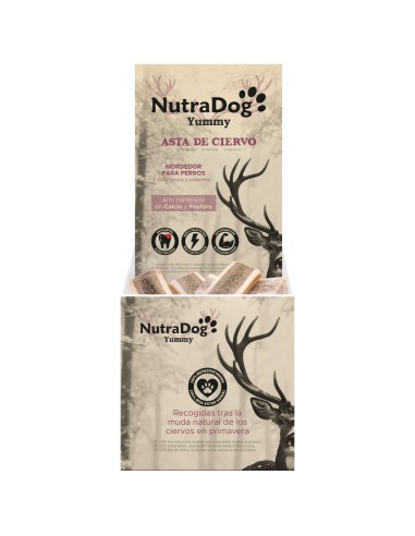 MEDIA ASTA DE CIERVO L