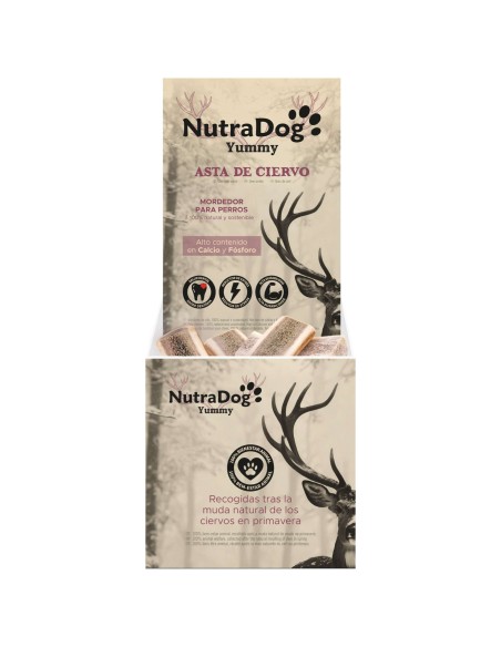 MEDIA ASTA DE CIERVO L