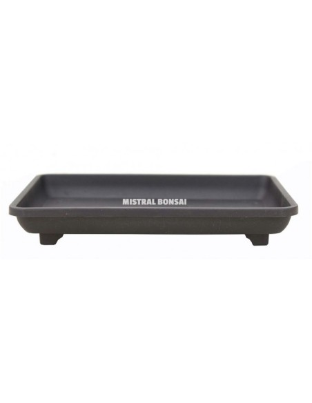 Plato Bonsái Plástico 14.5x10x2.5cm Mistral | Accesorio para Bonsáis en Endanea Garden

