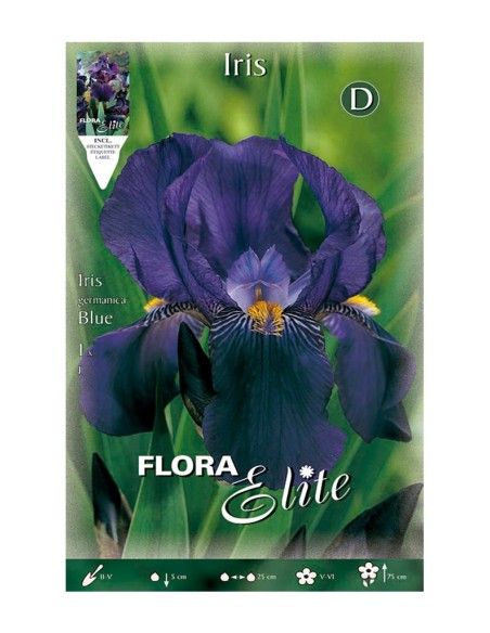 BULBO IRIS GERMANICA AZUL BATLLE