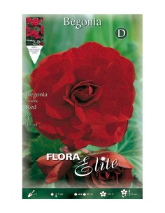 BULBO BEGONIA DOBLE ROJA BATLLE