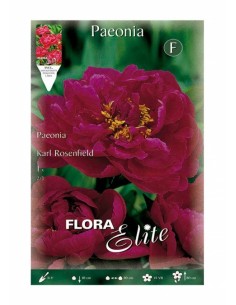 BULBO PEONIA KARL ROSENFIELD