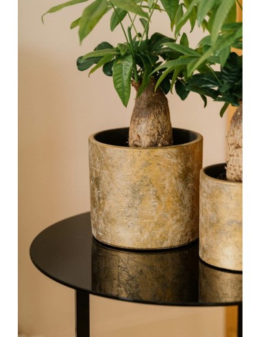 MACETA ALBI 14C13CM VERDE/ORO