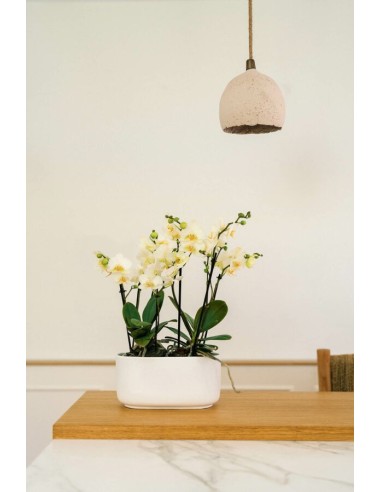 JARDINERA BARI 25X12X12CM BLANCA