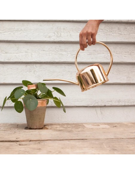 CINTA DE COBRE ANTICARACOLES ESSCHERT